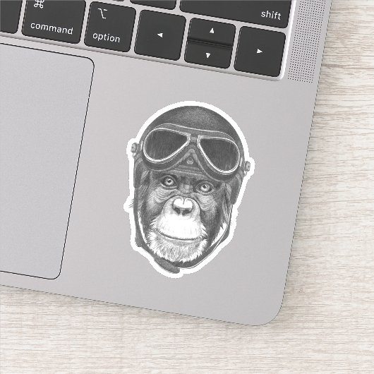 Helmet Chimpansee Sticker (Detail)