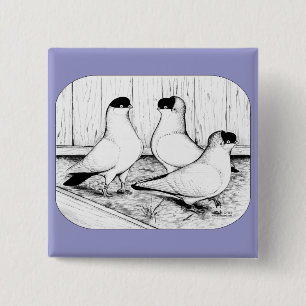 Helmet Pigeon Trio Vierkante Button 5,1 Cm