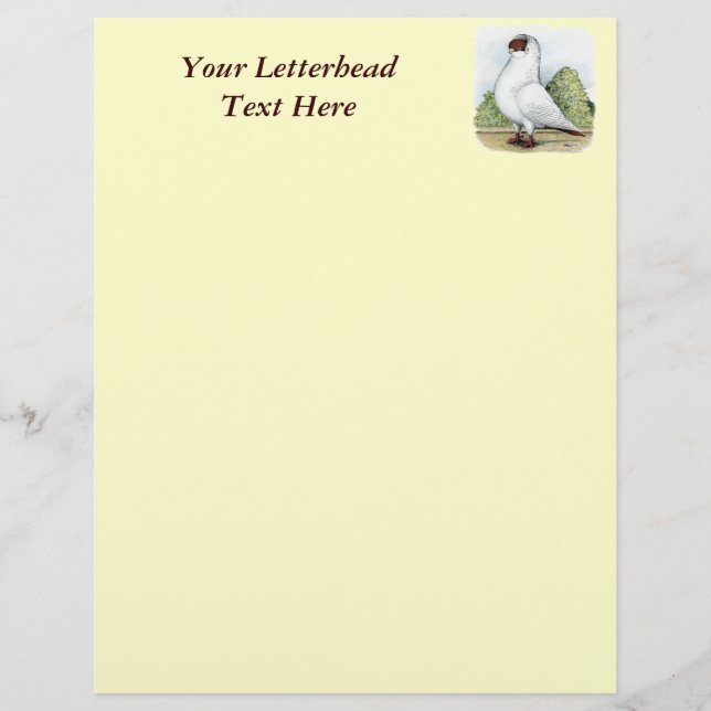 Helmet: Rode duif (Voorkant)