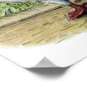 Helmet: Rode duif Poster (Hoek)