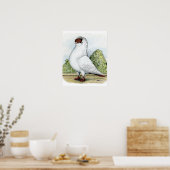 Helmet: Rode duif Poster (Keuken)