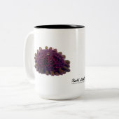 Helmet Urchin, Colobocentrotus atratus Tweekleurige Koffiemok (Voorkant links)