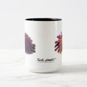 Helmet Urchin, Colobocentrotus atratus Tweekleurige Koffiemok (Center)