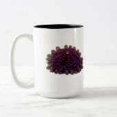 Helmet Urchin, Colobocentrotus atratus Tweekleurige Koffiemok (Links)