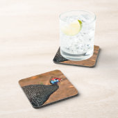 Helmeted Guinea Fowl (Numida meleagris). Afrika, Drankjes Onderzetter (Rechterzijde)