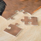 Helmeted Guinea Fowl (Numida meleagris). Afrika, Legpuzzel (Zijkant)