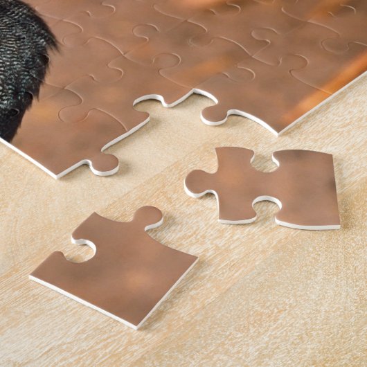 Helmeted Guinea Fowl (Numida meleagris). Afrika, Legpuzzel (Zijkant)