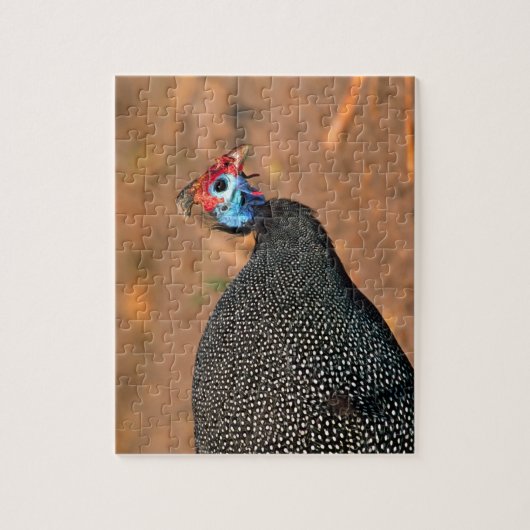 Helmeted Guinea Fowl (Numida meleagris). Afrika, Legpuzzel (Verticaal)