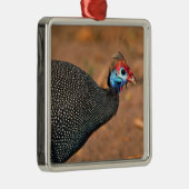 Helmeted Guinea Fowl (Numida meleagris). Afrika, Metalen Ornament (Rechts)