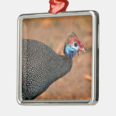 Helmeted Guinea Fowl (Numida meleagris). Afrika, Metalen Ornament (Links)