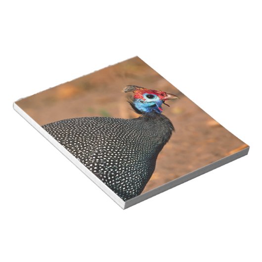 Helmeted Guinea Fowl (Numida meleagris). Afrika, Notitieblok (Schuin)