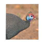 Helmeted Guinea Fowl (Numida meleagris). Afrika, Notitieblok (Voorkant)