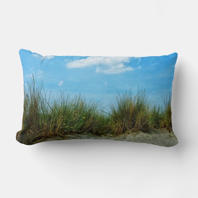 Helmgras in de duinen kussen (Voorkant)