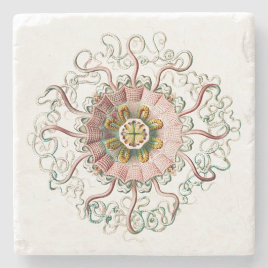 Helmkwal Stenen Onderzetter (Voorkant)