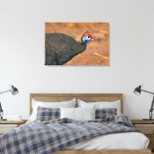 Helmparelhoen (Numida meleagris). Afrika, Canvas Afdruk (Insitu (Slaapkamer))