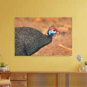 Helmparelhoen (Numida meleagris). Afrika, Canvas Afdruk (Insitu (Woonkamer))