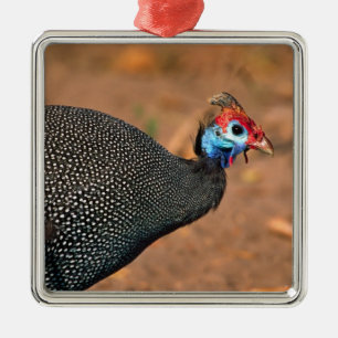 Helmparelhoen (Numida meleagris). Afrika, Metalen Ornament