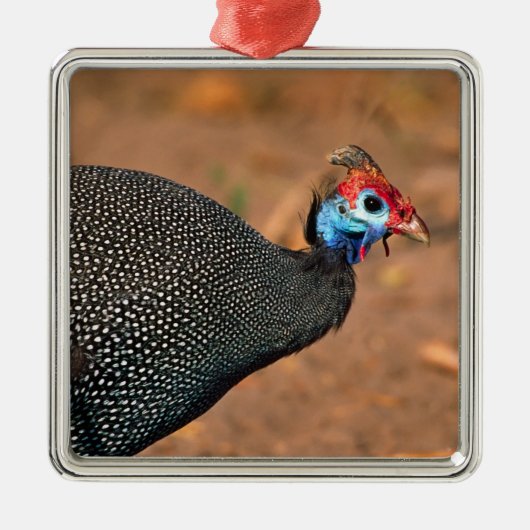 Helmparelhoen (Numida meleagris). Afrika, Metalen Ornament (Voorkant)