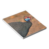 Helmparelhoen (Numida meleagris). Afrika, Notitieblok (Schuin)