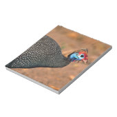 Helmparelhoen (Numida meleagris). Afrika, Notitieblok (Linkerzijde)