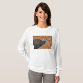 Helmparelhoen (Numida meleagris). Afrika, T-shirt (Voorkant volledig)