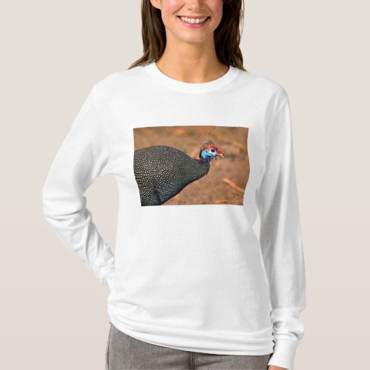 Helmparelhoen (Numida meleagris). Afrika, T-shirt (Voorkant)