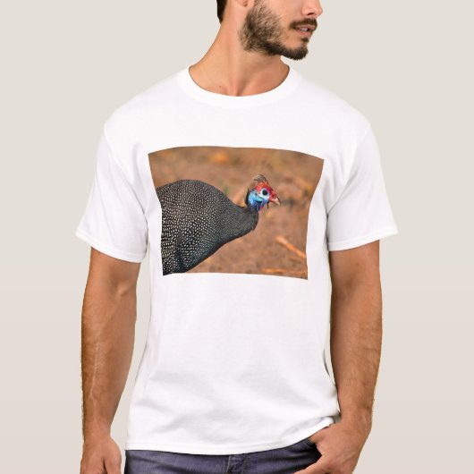 Helmparelhoen (Numida meleagris). Afrika, T-shirt (Voorkant)