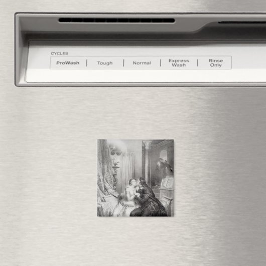 Heloise en Abelard Magneet (Insitu (Vaatwasser))