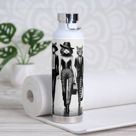 Help Cat Runway Modellen Wandelen De Catwalk Waterfles