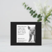 Help de biggen! briefkaart (Staand voorkant)