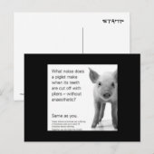 Help de biggen! briefkaart (Voorkant / Achterkant)