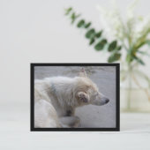 HELP DE DESPERATIEVEN IN NEPAL BRIEFKAART (Staand voorkant)