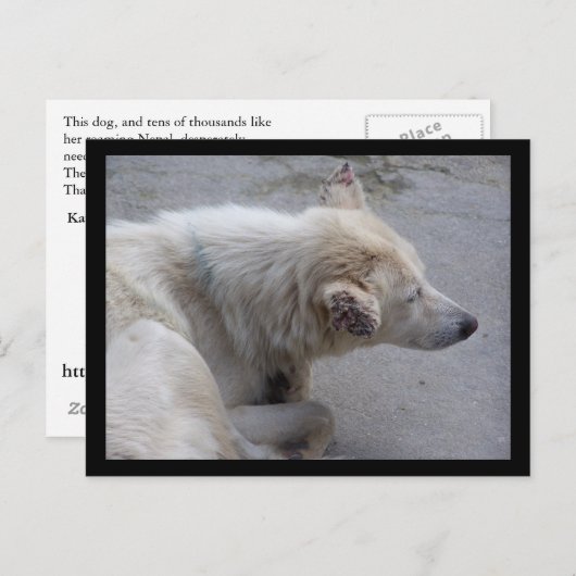 HELP DE DESPERATIEVEN IN NEPAL BRIEFKAART (Voorkant / Achterkant)