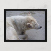 HELP DE DESPERATIEVEN IN NEPAL BRIEFKAART (Voorkant)