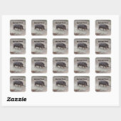 Help de dieren Chacoan-Sticker te beschermen #2 Vierkante Sticker (Vel)
