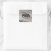 Help de dieren Chacoan-Sticker te beschermen #2 Vierkante Sticker (Tas)
