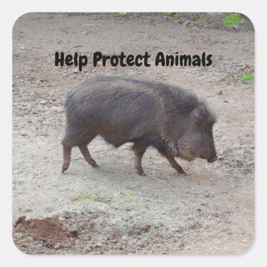 Help de dieren Chacoan-Sticker te beschermen #2 Vierkante Sticker (Voorkant)