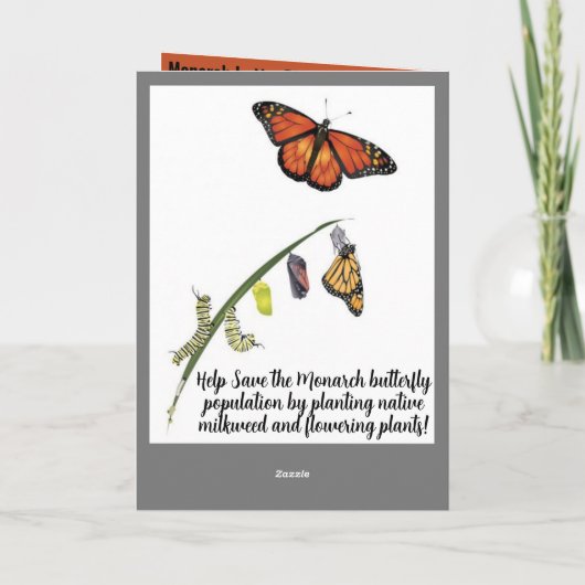 Help de Monarch vlinder te redden Bedankkaart (Achterkant)