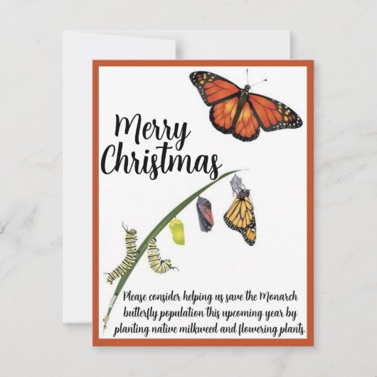 Help de Monarch vlinder te redden Notitiekaartje (Voorkant)