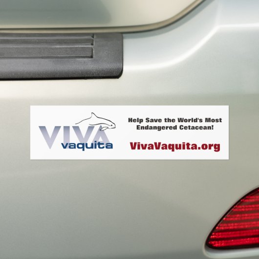Help de Vaquita te redden! Bumpersticker (Op auto)