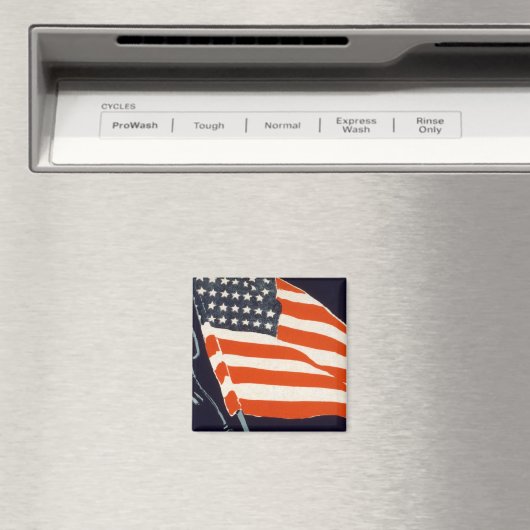 Help je jongen magneet (Insitu (Vaatwasser))