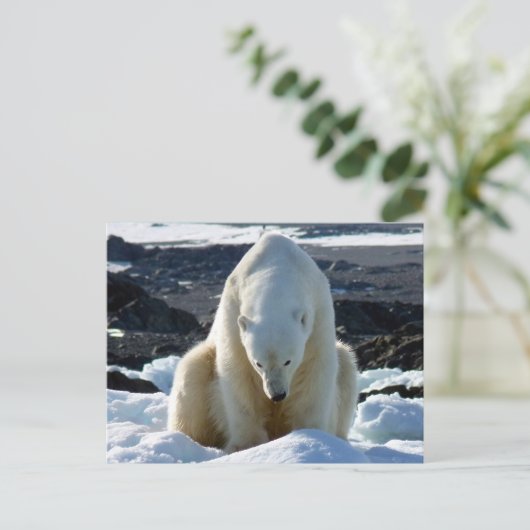 Help, my World is melting. Briefkaart (Staand voorkant)