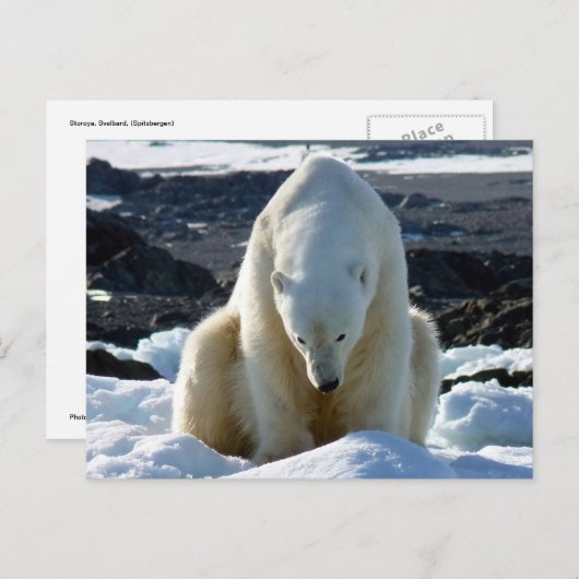 Help, my World is melting. Briefkaart (Voorkant / Achterkant)