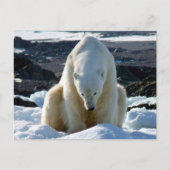 Help, my World is melting. Briefkaart (Voorkant)