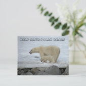 HELPEN POLAIRE BEREN TE BEWAREN BRIEFKAART (Staand voorkant)