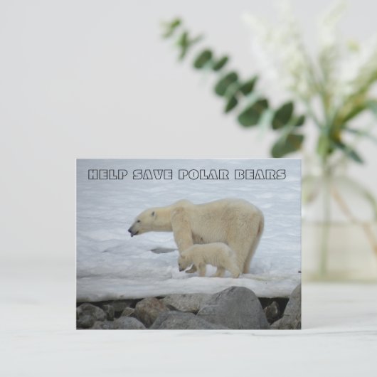 HELPEN POLAIRE BEREN TE BEWAREN BRIEFKAART (Staand voorkant)