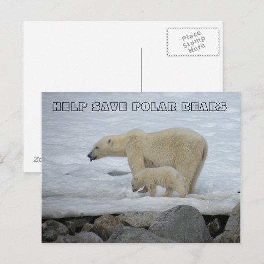 HELPEN POLAIRE BEREN TE BEWAREN BRIEFKAART (Voorkant / Achterkant)
