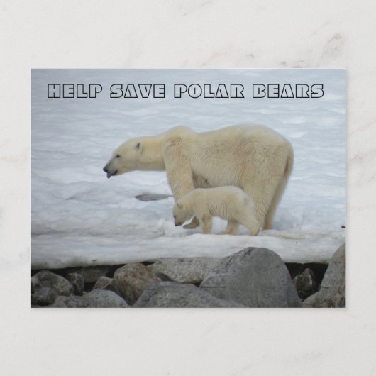 HELPEN POLAIRE BEREN TE BEWAREN BRIEFKAART (Voorkant)