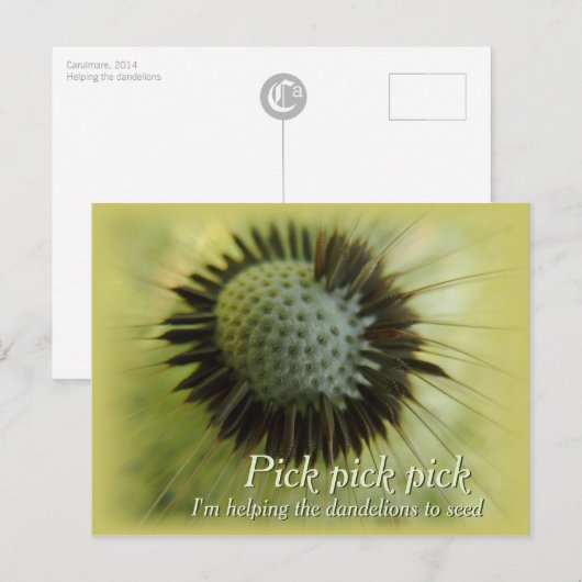 Helpend het Briefkaart van de kaarsen CC0489 (Voorkant / Achterkant)