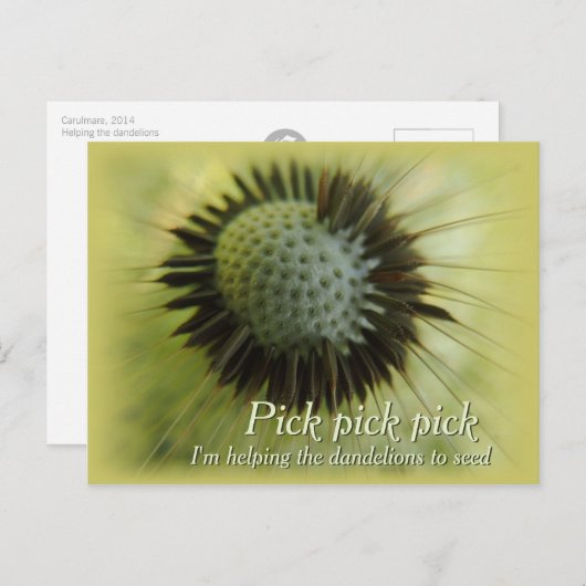 Helpend het Briefkaart van de kaarsen CC0489 (Voorkant / Achterkant)